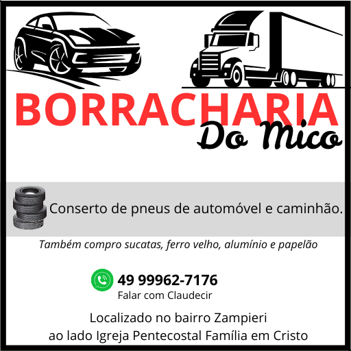 Borracharia do Mico